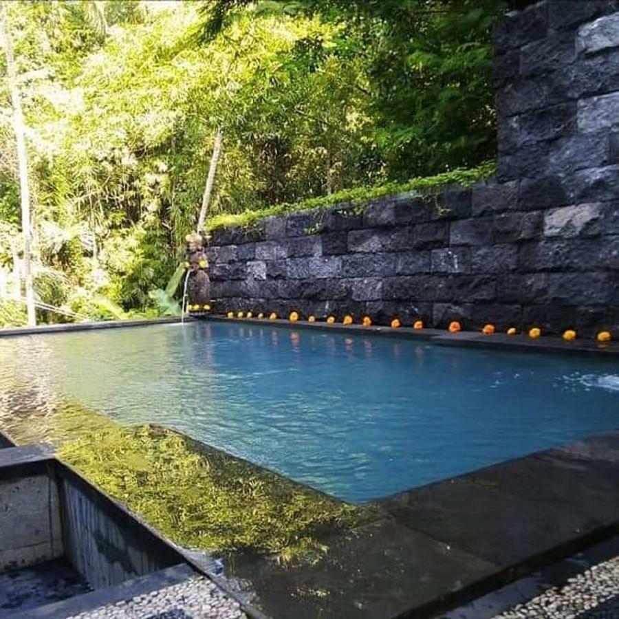 Ubud Harmony Private Villa And Pool Kültér fotó